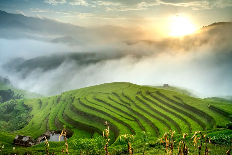 Kho gạo của Bùi Đảm